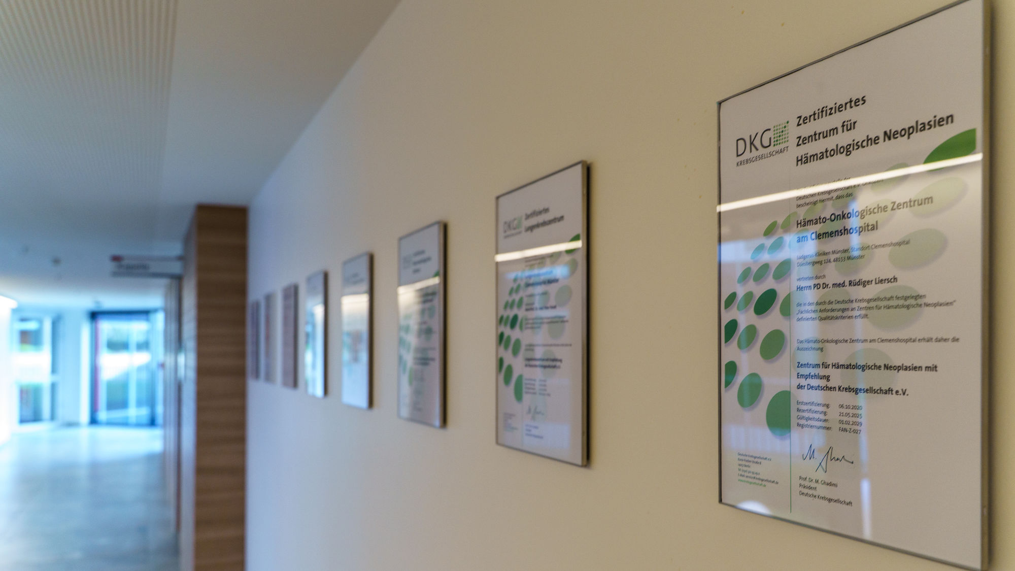 Zertifikate des Hämato-Onkologischen Zentrums am Clemenshospital.